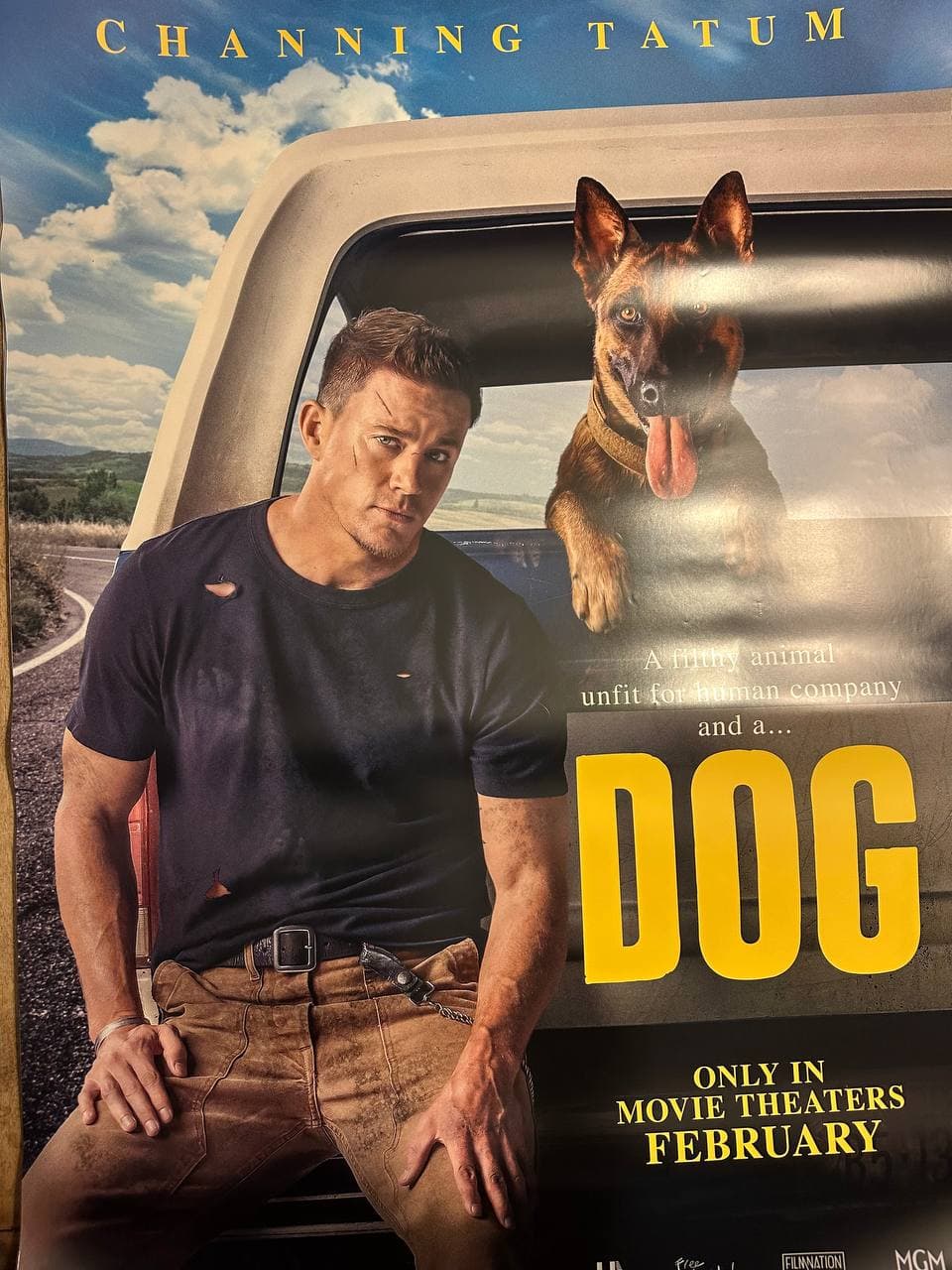 Dog (2022) — original rolled US one-sheet movie poster