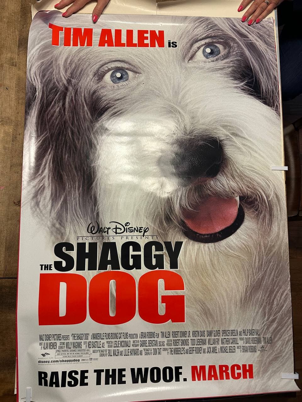 The Shaggy Dog (2006) — original rolled US one-sheet movie poster